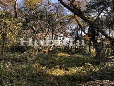 Terreno para Venda, em S�o Bento do Sul, bairro Industrial Sul
