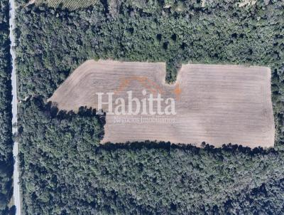Terreno para Venda, em S�o Bento do Sul, bairro Industrial Sul