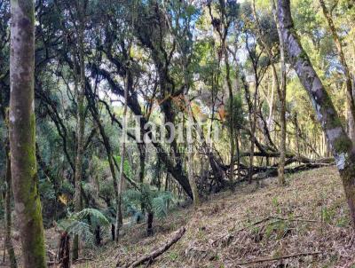 Terreno para Venda, em S�o Bento do Sul, bairro Alpino