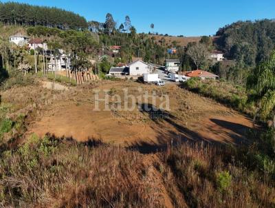Terreno para Venda, em S�o Bento do Sul, bairro Colonial