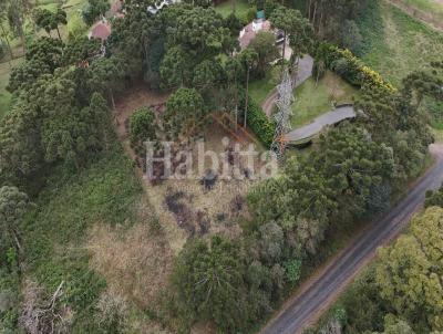 Terreno para Venda, em S�o Bento do Sul, bairro Colonial