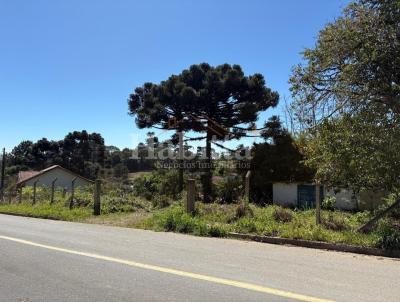 Terreno para Venda, em S�o Bento do Sul, bairro Colonial