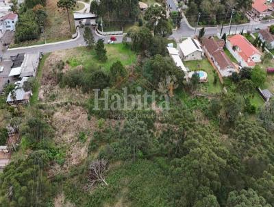 Terreno para Venda, em S�o Bento do Sul, bairro Colonial