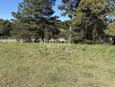 Terreno para Venda, em S�o Bento do Sul, bairro Serra Alta