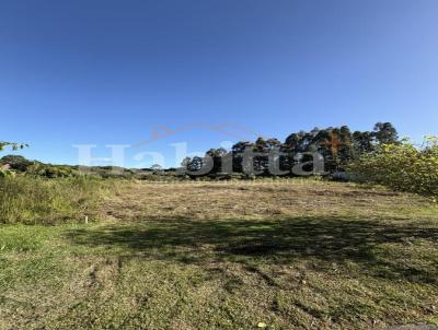 Terreno para Venda, em S�o Bento do Sul, bairro Rio Negro