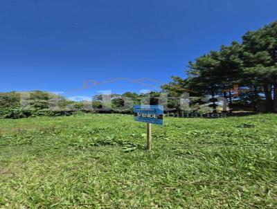 Terreno para Venda, em S�o Bento do Sul, bairro Progresso