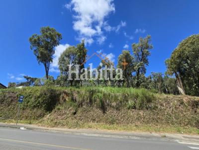 Terreno para Venda, em S�o Bento do Sul, bairro Centen�rio